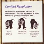 conflict resolution